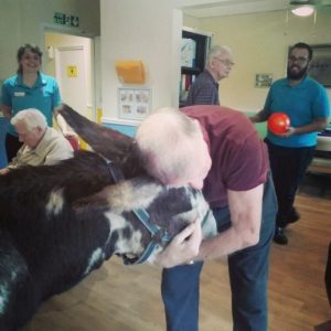 Kelly's assisted therapy donkey visiting an elderly man in a care home.