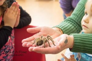 Child holding a spider at a fun day in bath.