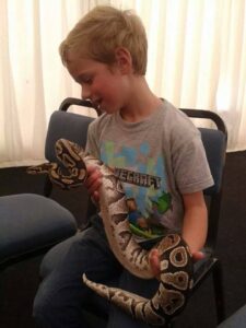 snake python reptile party Gloucestershire