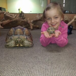 tortoise reptile party bristol Gloucester