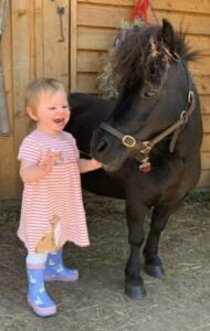 dinkey kellys donkeys animals party Gloucestershire Bristol
